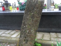 Wierzbica_002