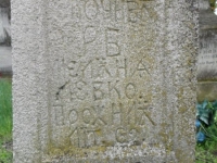 Wierzbica_005