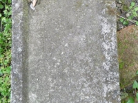 Wierzbica_018