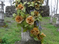 Wierzbica_027