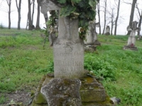 Wierzbica_029