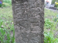 Wierzbica_037