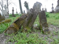 Wierzbica_040
