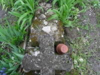 Wierzbica_041