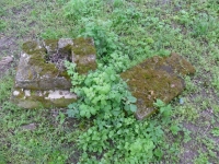 Wierzbica_046