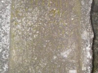 Wierzbica_051
