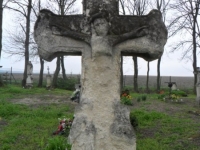 Wierzbica_054