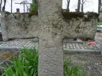 Wierzbica_063