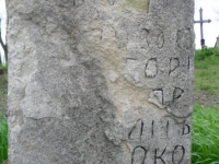 Wierzbica_065