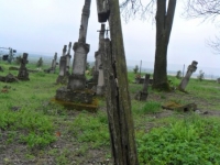 Wierzbica_070