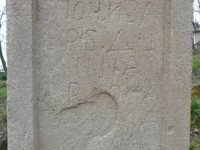 Wierzbica_076
