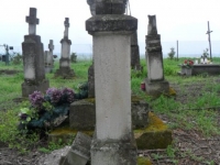 Wierzbica_077