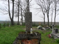 Wierzbica_088