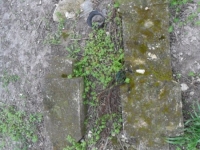Wierzbica_092