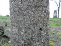 Wierzbica_095