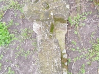 Wierzbica_100