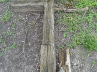 Wierzbica_101