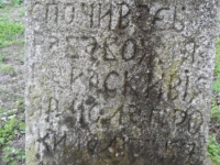 Wierzbica_103