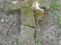 Wierzbica_105