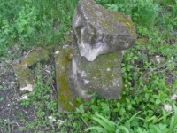 Wierzbica_106