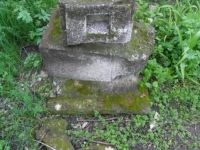 Wierzbica_107