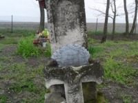 Wierzbica_109