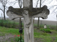 Wierzbica_113