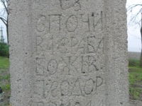 Wierzbica_114