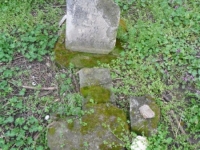 Wierzbica_116