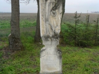Wierzbica_118