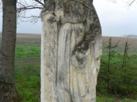 Wierzbica_119