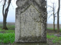 Wierzbica_126