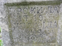 Wierzbica_131