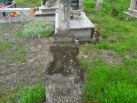 Wierzbica_132