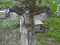 Wierzbica_134