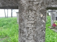 Wierzbica_136
