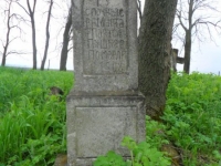 Wierzbica_141