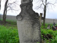 Wierzbica_143
