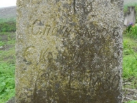 Wierzbica_146
