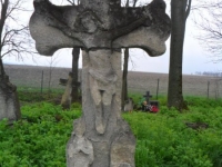 Wierzbica_148