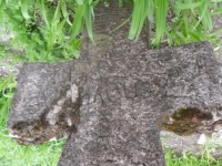 Wierzbica_150