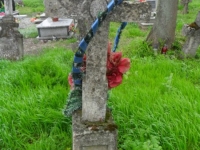 Wierzbica_155