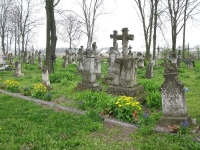 Wierzbica_023