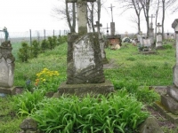 Wierzbica_026