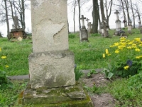 Wierzbica_037