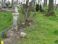 Wierzbica_039