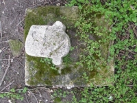 Wierzbica_040