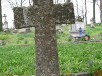 Wierzbica_044