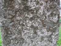 Wierzbica_047