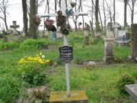 Wierzbica_052